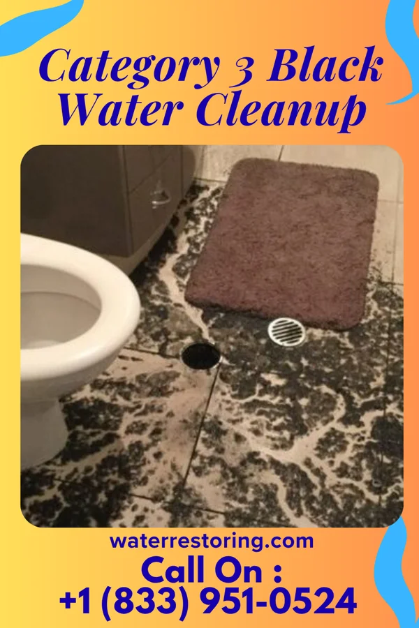 Category 3 Black Water Cleanup in Warsaw, OH