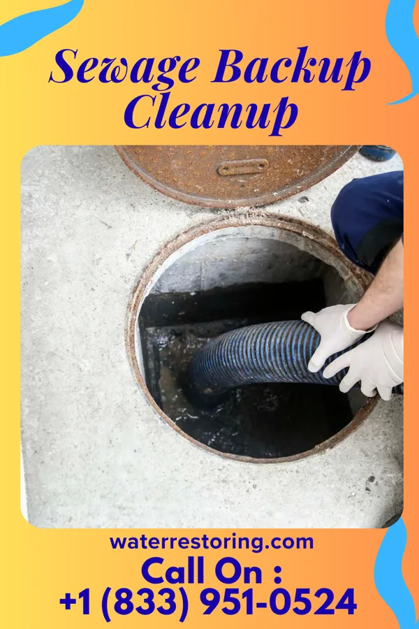 Sewage Backup Cleanup in Warsaw, OH